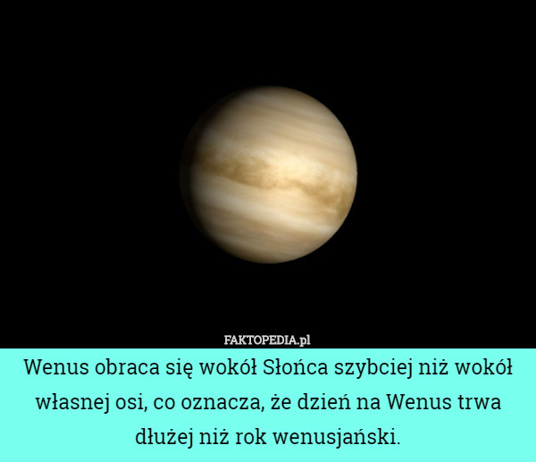 Wenus obraca się wokół Słońca szybciej niż wokół własnej osi, co oznacza, że ​​dzień na Wenus trwa dłużej niż rok wenusjański. 