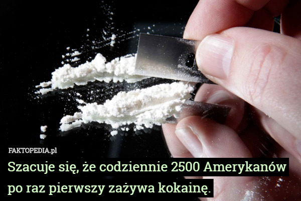 Szacuje się, że codziennie 2500 Amerykanów po raz pierwszy zażywa kokainę. 