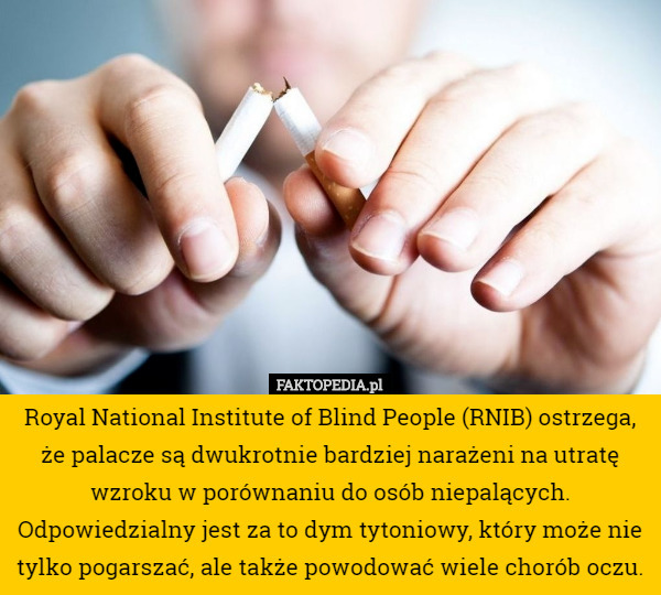 Royal National Institute of Blind People (RNIB) ostrzega, że palacze są dwukrotnie bardziej narażeni na utratę wzroku w porównaniu do osób niepalących. Odpowiedzialny jest za to dym tytoniowy, który może nie tylko pogarszać, ale także powodować wiele chorób oczu. 