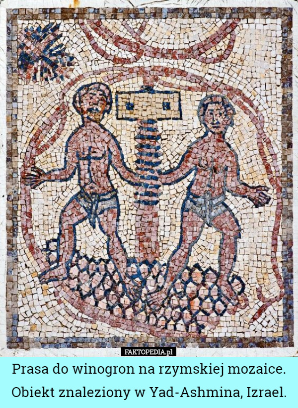 Prasa do winogron na rzymskiej mozaice. Obiekt znaleziony w Yad-Ashmina, Izrael. 