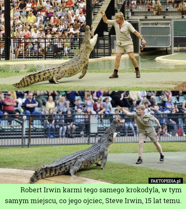 Robert Irwin karmi tego samego krokodyla, w tym samym miejscu, co jego ojciec, Steve Irwin, 15 lat temu. 