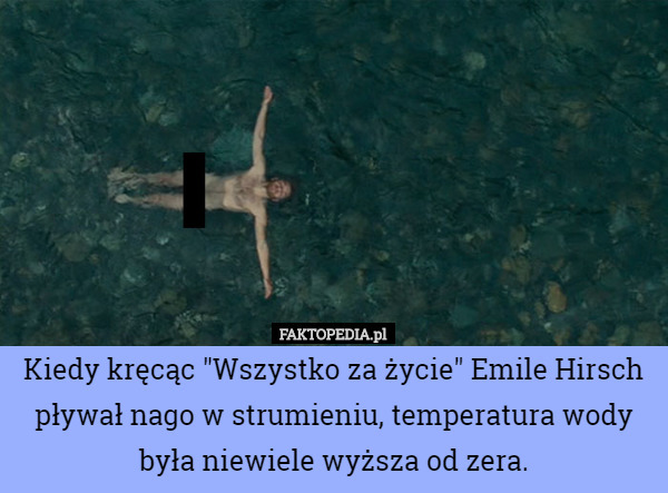 Kiedy kręcąc "Wszystko za życie" Emile Hirsch pływał nago w strumieniu, temperatura wody była niewiele wyższa od zera. 