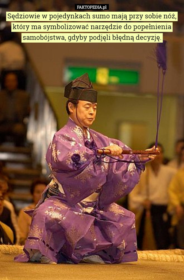 Sędziowie w pojedynkach sumo mają przy sobie nóż, który ma symbolizować narzędzie do popełnienia samobójstwa, gdyby podjęli błędną decyzję. 