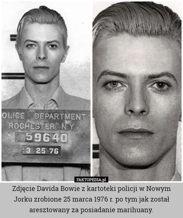 Zdjęcie Davida Bowie z kartoteki policji w Nowym Jorku zrobione 25 marca 1976 r. po tym jak został aresztowany za posiadanie marihuany. 