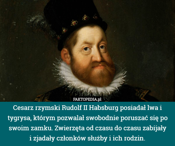 Cesarz rzymski Rudolf II Habsburg posiadał lwa i tygrysa, którym pozwalał swobodnie poruszać się po swoim zamku. Zwierzęta od czasu do czasu zabijały
 i zjadały członków służby i ich rodzin. 
