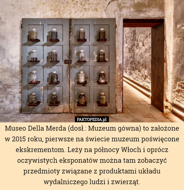 Museo Della Merda (dosł.: Muzeum gówna) to założone w 2015 roku, pierwsze na świecie muzeum poświęcone ekskrementom. Leży na północy Włoch i oprócz oczywistych eksponatów można tam zobaczyć przedmioty związane z produktami układu wydalniczego ludzi i zwierząt. 