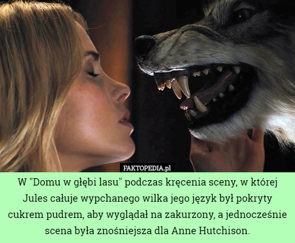 W "Domu w głębi lasu" podczas kręcenia sceny, w której Jules całuje wypchanego wilka jego język był pokryty cukrem pudrem, aby wyglądał na zakurzony, a jednocześnie scena była znośniejsza dla Anne Hutchison. 