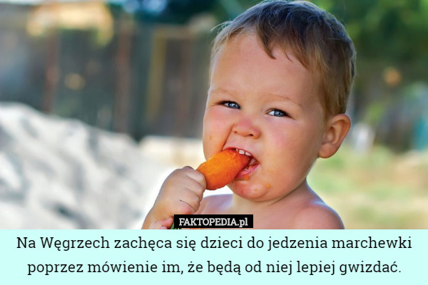 Na Węgrzech zachęca się dzieci do jedzenia marchewki poprzez mówienie im, że będą od niej lepiej gwizdać. 