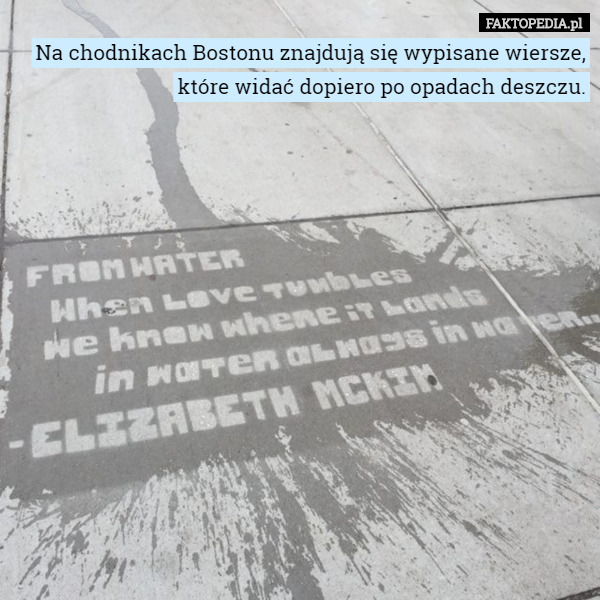Na chodnikach Bostonu znajdują się wypisane wiersze, które widać dopiero po opadach deszczu. 
