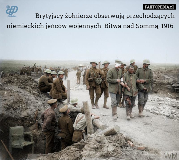 Brytyjscy żołnierze obserwują przechodzących niemieckich jeńców wojennych. Bitwa nad Sommą, 1916. 