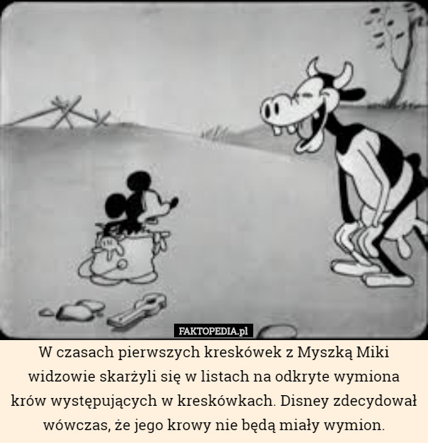 W czasach pierwszych kreskówek z Myszką Miki widzowie skarżyli się w listach na odkryte wymiona krów występujących w kreskówkach. Disney zdecydował wówczas, że jego krowy nie będą miały wymion. 