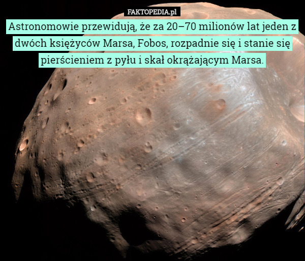 Astronomowie przewidują, że za 20–70 milionów lat jeden z dwóch księżyców Marsa, Fobos, rozpadnie się i stanie się pierścieniem z pyłu i skał okrążającym Marsa. 