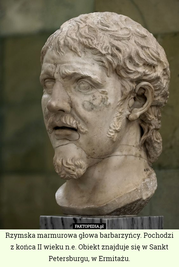 Rzymska marmurowa głowa barbarzyńcy. Pochodzi z końca II wieku n.e. Obiekt znajduje się w Sankt Petersburgu, w Ermitażu. 