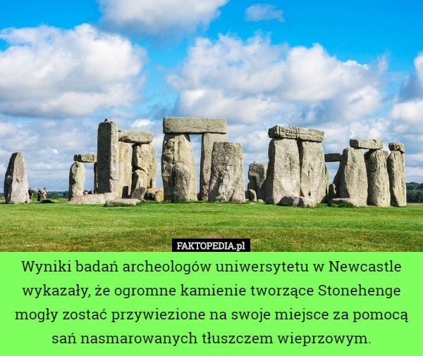 Wyniki badań archeologów uniwersytetu w Newcastle wykazały, że ogromne kamienie tworzące Stonehenge mogły zostać przywiezione na swoje miejsce za pomocą sań nasmarowanych tłuszczem wieprzowym. 