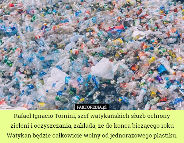 Rafael Ignacio Tornini, szef watykańskich służb ochrony zieleni i oczyszczania, zakłada, że do końca bieżącego roku Watykan będzie całkowicie wolny od jednorazowego plastiku. 