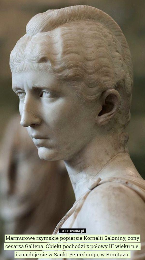 Marmurowe rzymskie popiersie Kornelii Saloniny, żony cesarza Galiena. Obiekt pochodzi z połowy III wieku n.e.
 i znajduje się w Sankt Petersburgu, w Ermitażu. 
