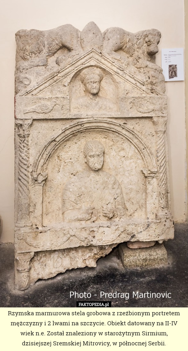 Rzymska marmurowa stela grobowa z rzeźbionym portretem mężczyzny i 2 lwami na szczycie. Obiekt datowany na II-IV wiek n.e. Został znaleziony w starożytnym Sirmium,
 dzisiejszej Sremskiej Mitrovicy, w północnej Serbii. 