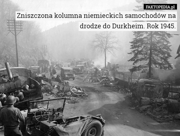 Zniszczona kolumna niemieckich samochodów na drodze do Durkheim. Rok 1945. 