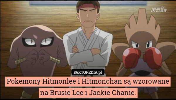 Pokemony Hitmonlee i Hitmonchan są wzorowane na Brusie Lee i Jackie Chanie. 