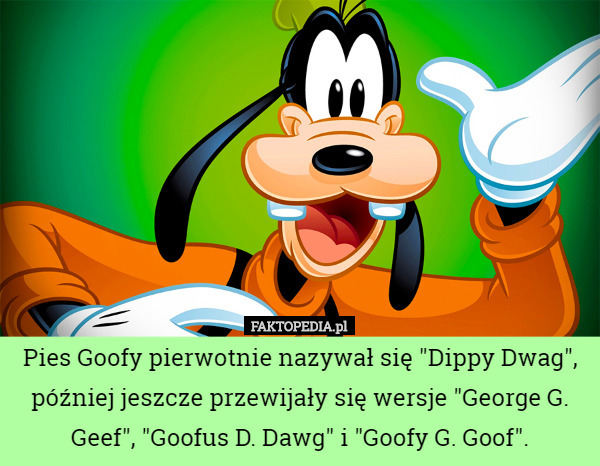 Pies Goofy pierwotnie nazywał się "Dippy Dwag", później jeszcze przewijały się wersje "George G. Geef", "Goofus D. Dawg" i "Goofy G. Goof". 