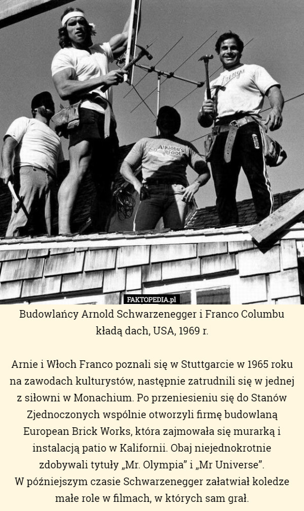 Budowlańcy Arnold Schwarzenegger i Franco Columbu kładą dach, USA, 1969 r.

Arnie i Włoch Franco poznali się w Stuttgarcie w 1965 roku na zawodach kulturystów, następnie zatrudnili się w jednej z siłowni w Monachium. Po przeniesieniu się do Stanów Zjednoczonych wspólnie otworzyli firmę budowlaną European Brick Works, która zajmowała się murarką i instalacją patio w Kalifornii. Obaj niejednokrotnie zdobywali tytuły „Mr. Olympia” i „Mr Universe”.
 W późniejszym czasie Schwarzenegger załatwiał koledze małe role w filmach, w których sam grał. 