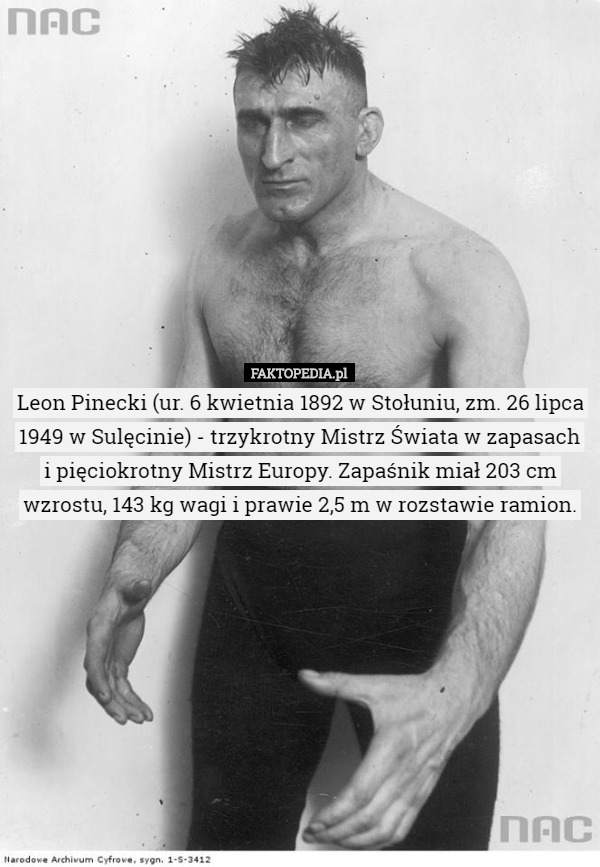 Leon Pinecki (ur. 6 kwietnia 1892 w Stołuniu, zm. 26 lipca 1949 w Sulęcinie) - trzykrotny Mistrz Świata w zapasach i pięciokrotny Mistrz Europy. Zapaśnik miał 203 cm wzrostu, 143 kg wagi i prawie 2,5 m w rozstawie ramion. 