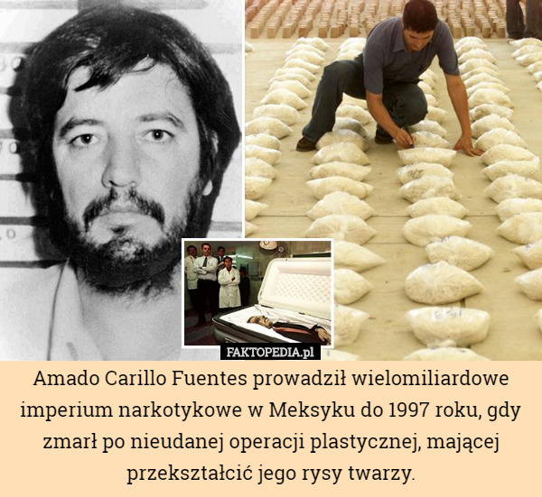 Amado Carillo Fuentes prowadził wielomiliardowe imperium narkotykowe w Meksyku do 1997 roku, gdy zmarł po nieudanej operacji plastycznej, mającej przekształcić jego rysy twarzy. 