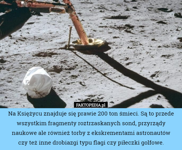 Na Księżycu znajduje się prawie 200 ton śmieci. Są to przede wszystkim fragmenty roztrzaskanych sond, przyrządy naukowe ale również torby z ekskrementami astronautów
 czy też inne drobiazgi typu flagi czy piłeczki golfowe. 