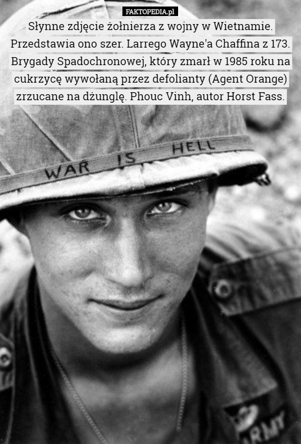 Słynne zdjęcie żołnierza z wojny w Wietnamie. Przedstawia ono szer. Larrego Wayne'a Chaffina z 173. Brygady Spadochronowej, który zmarł w 1985 roku na cukrzycę wywołaną przez defolianty (Agent Orange) zrzucane na dżunglę. Phouc Vinh, autor Horst Fass. 