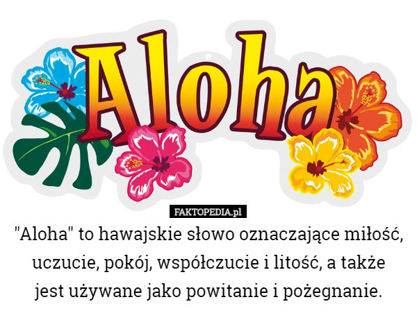 "Aloha" to hawajskie słowo oznaczające miłość, uczucie, pokój, współczucie i litość, a także
 jest używane jako powitanie i pożegnanie. 