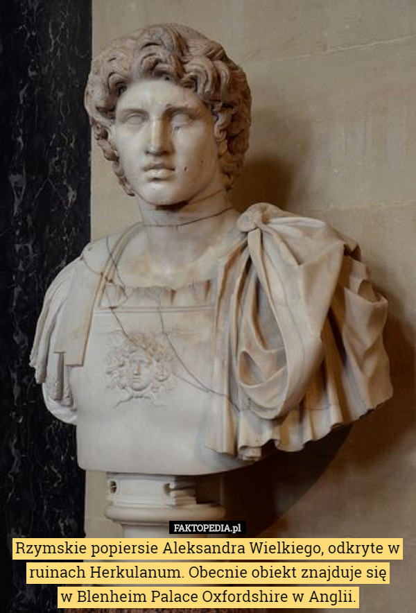 Rzymskie popiersie Aleksandra Wielkiego, odkryte w ruinach Herkulanum. Obecnie obiekt znajduje się
 w Blenheim Palace Oxfordshire w Anglii. 