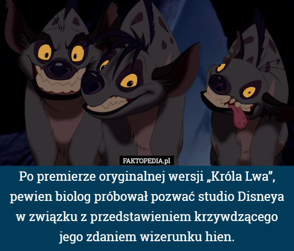 Po premierze oryginalnej wersji „Króla Lwa”, pewien biolog próbował pozwać studio Disneya w związku z przedstawieniem krzywdzącego jego zdaniem wizerunku hien. 