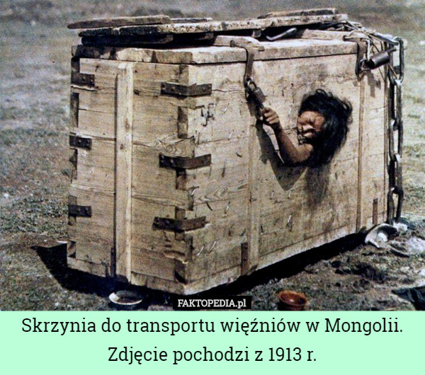 Skrzynia do transportu więźniów w Mongolii. Zdjęcie pochodzi z 1913 r. 