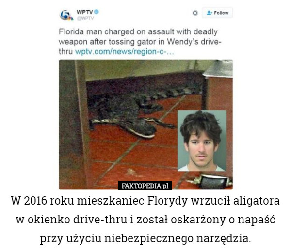 W 2016 roku mieszkaniec Florydy wrzucił aligatora w okienko drive-thru i został oskarżony o napaść przy użyciu niebezpiecznego narzędzia. 