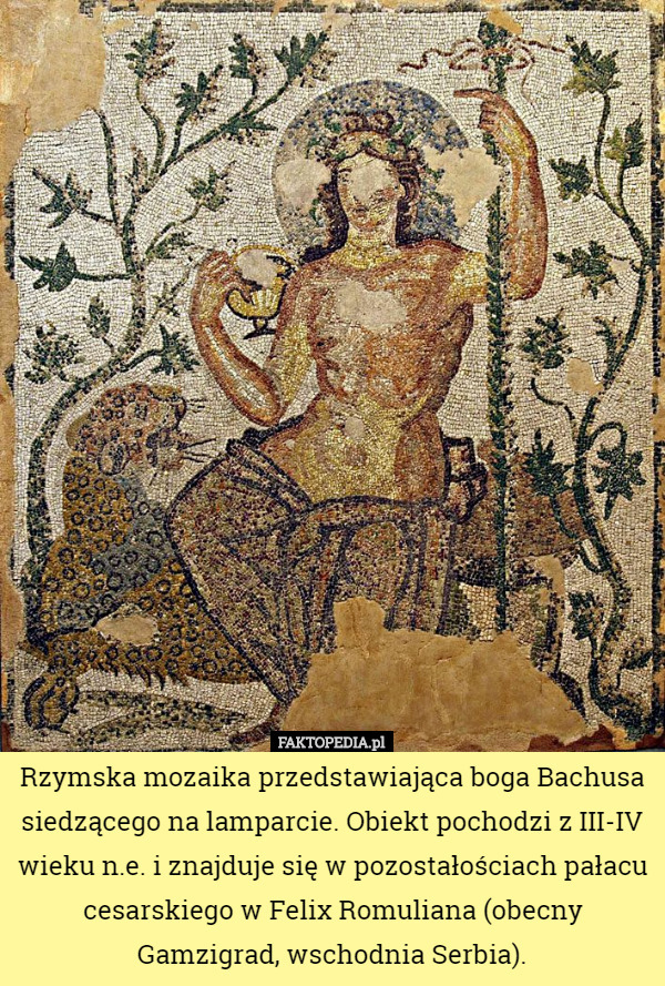 Rzymska mozaika przedstawiająca boga Bachusa siedzącego na lamparcie. Obiekt pochodzi z III-IV wieku n.e. i znajduje się w pozostałościach pałacu cesarskiego w Felix Romuliana (obecny Gamzigrad, wschodnia Serbia). 