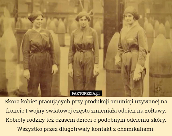 Skóra kobiet pracujących przy produkcji amunicji używanej na froncie I wojny światowej często zmieniała odcień na żółtawy. Kobiety rodziły też czasem dzieci o podobnym odcieniu skóry. Wszystko przez długotrwały kontakt z chemikaliami. 