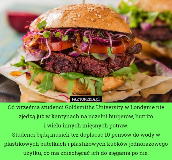 Od września studenci Goldsmiths University w Londynie nie zjedzą już w kantynach na uczelni burgerów, burrito
 i wielu innych mięsnych potraw.
Studenci będą musieli też dopłacać 10 pensów do wody w plastikowych butelkach i plastikowych kubków jednorazowego użytku, co ma zniechęcać ich do sięgania po nie. 