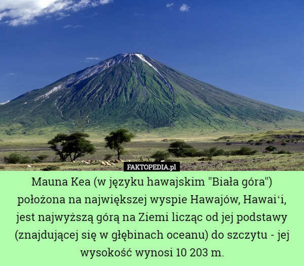 Mauna Kea (w języku hawajskim "Biała góra") położona na największej wyspie Hawajów, Hawaiʻi, jest najwyższą górą na Ziemi licząc od jej podstawy (znajdującej się w głębinach oceanu) do szczytu - jej wysokość wynosi 10 203 m. 