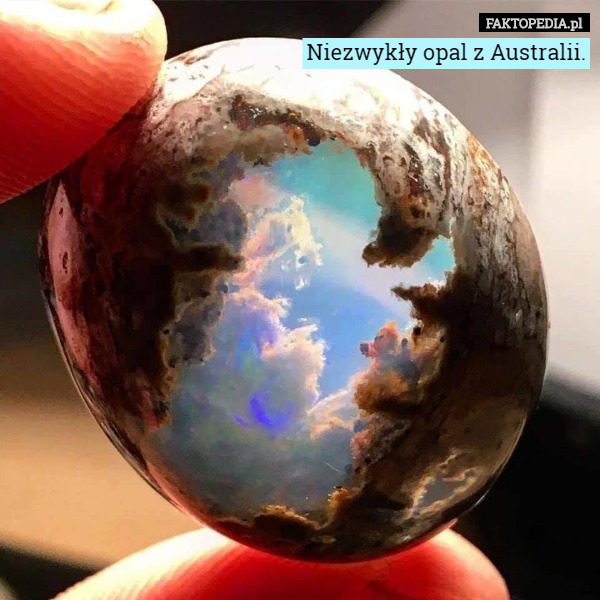 Niezwykły opal z Australii. 
