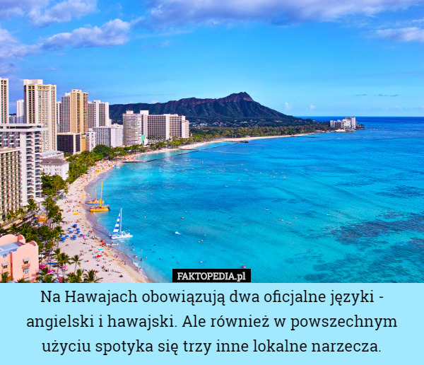 Na Hawajach obowiązują dwa oficjalne języki - angielski i hawajski. Ale również w powszechnym użyciu spotyka się trzy inne lokalne narzecza. 
