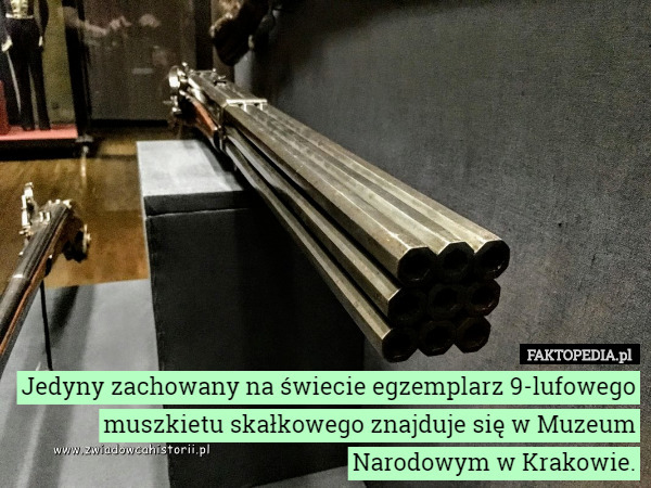 Jedyny zachowany na świecie egzemplarz 9-lufowego muszkietu skałkowego znajduje się w Muzeum Narodowym w Krakowie. 