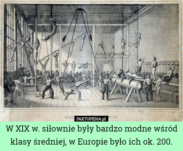 W XIX w. siłownie były bardzo modne wśród klasy średniej, w Europie było ich ok. 200. 