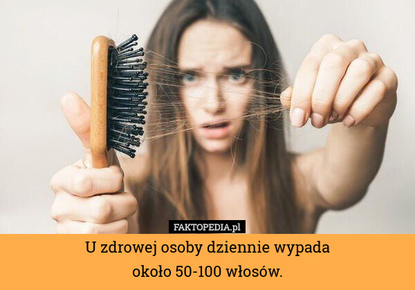 U zdrowej osoby dziennie wypada
około 50-100 włosów. 