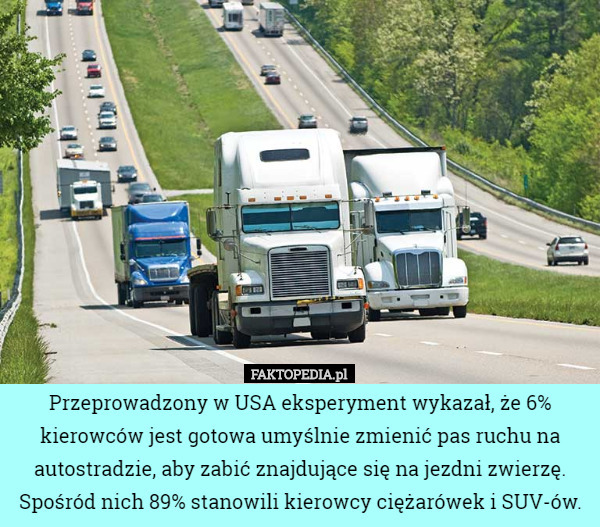 Przeprowadzony w USA eksperyment wykazał, że 6% kierowców jest gotowa umyślnie zmienić pas ruchu na autostradzie, aby zabić znajdujące się na jezdni zwierzę. Spośród nich 89% stanowili kierowcy ciężarówek i SUV-ów. 