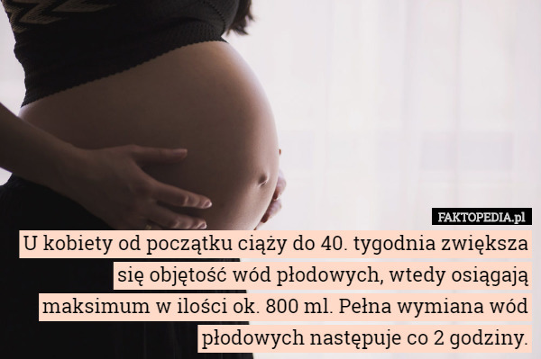 U kobiety od początku ciąży do 40. tygodnia zwiększa się objętość wód płodowych, wtedy osiągają maksimum w ilości ok. 800 ml. Pełna wymiana wód płodowych następuje co 2 godziny. 