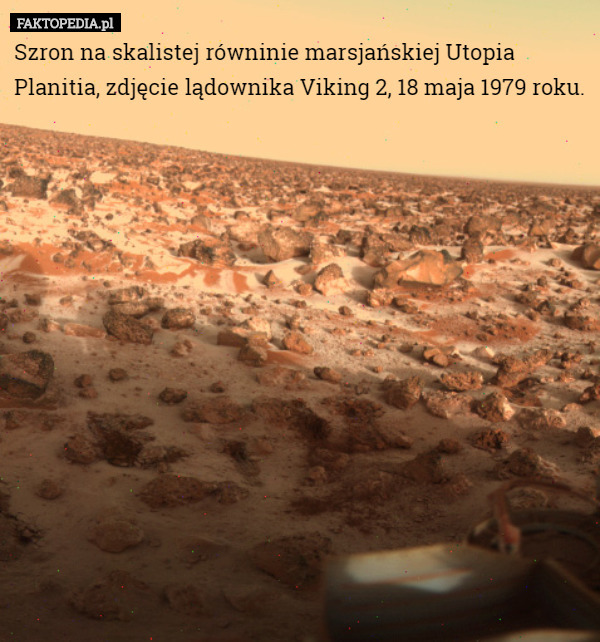 Szron na skalistej równinie marsjańskiej Utopia Planitia, zdjęcie lądownika Viking 2, 18 maja 1979 roku. 