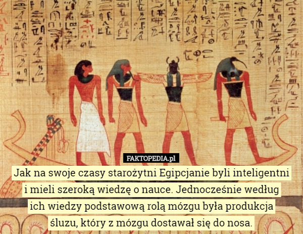 Jak na swoje czasy starożytni Egipcjanie byli inteligentni
 i mieli szeroką wiedzę o nauce. Jednocześnie według
 ich wiedzy podstawową rolą mózgu była produkcja
 śluzu, który z mózgu dostawał się do nosa. 