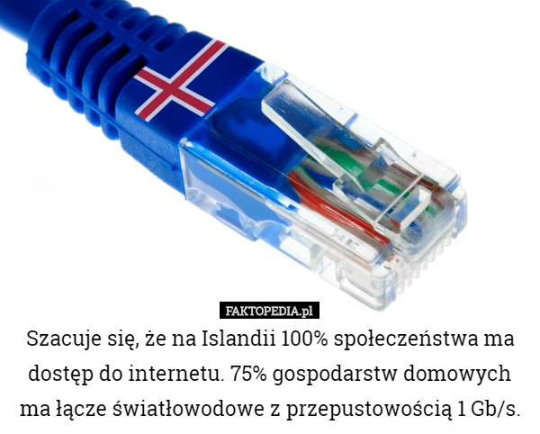 Szacuje się, że na Islandii 100% społeczeństwa ma dostęp do internetu. 75% gospodarstw domowych ma łącze światłowodowe z przepustowością 1 Gb/s. 