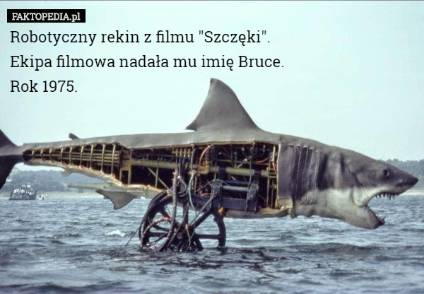 Robotyczny rekin z filmu "Szczęki".
Ekipa filmowa nadała mu imię Bruce.
Rok 1975. 