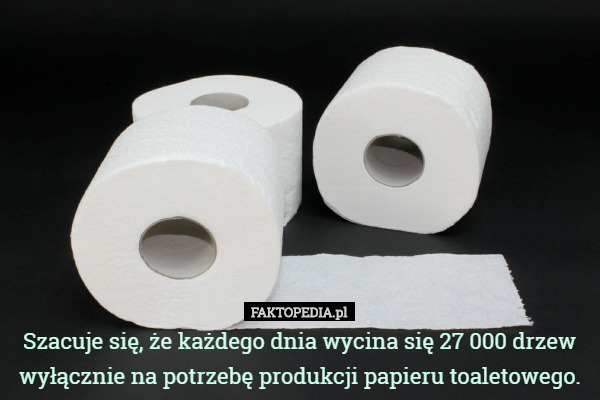 Szacuje się, że każdego dnia wycina się 27 000 drzew wyłącznie na potrzebę produkcji papieru toaletowego. 